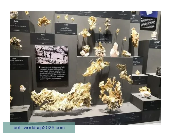 美加墨世界杯举办城市旅游攻略与文化体验全景指南