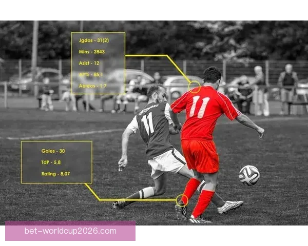世界杯足球竞猜平台全面解析安全玩法技巧与赛事数据分析实用指南