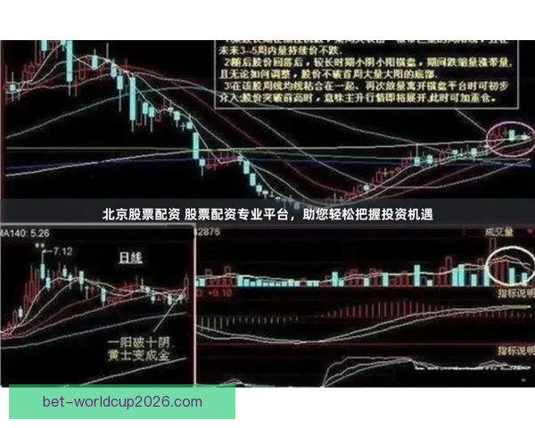 世界杯跟单策略全解析 玩转投注技巧提升收益 轻松把握赛事机会